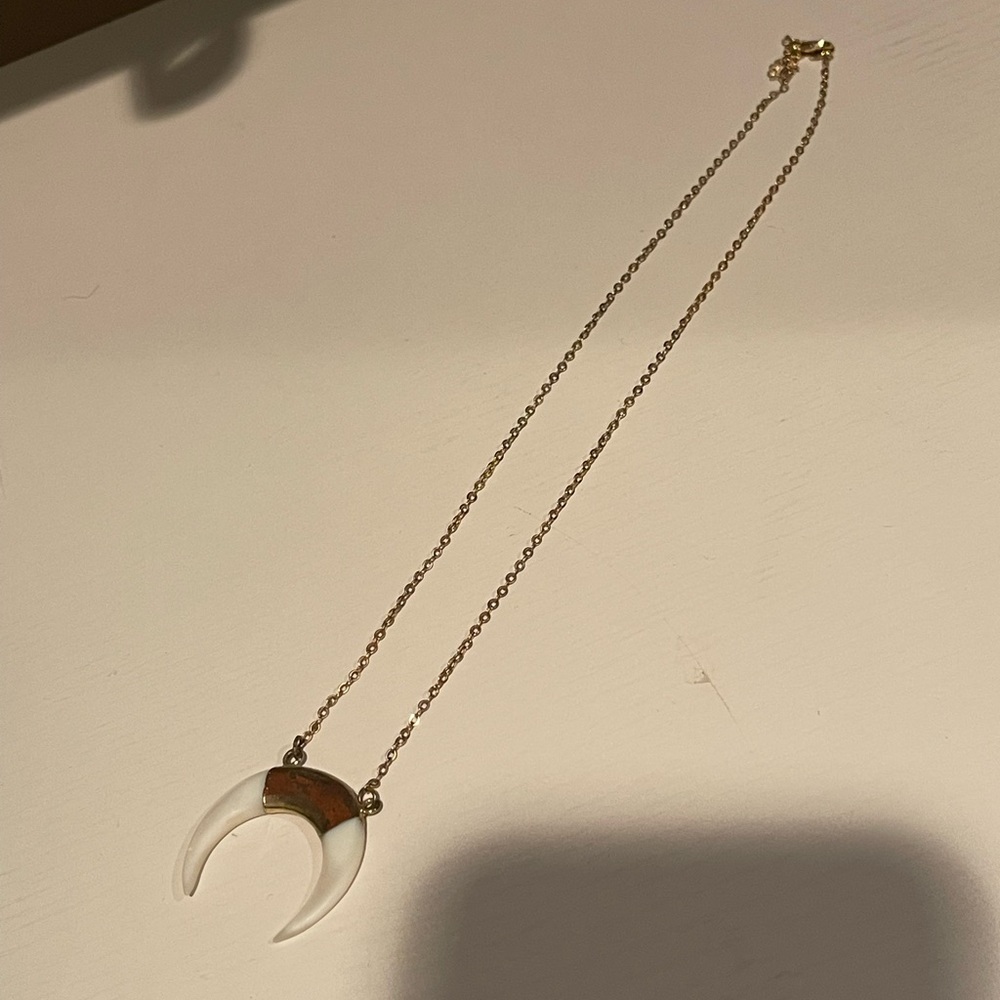 Shark Tooth Necklace
